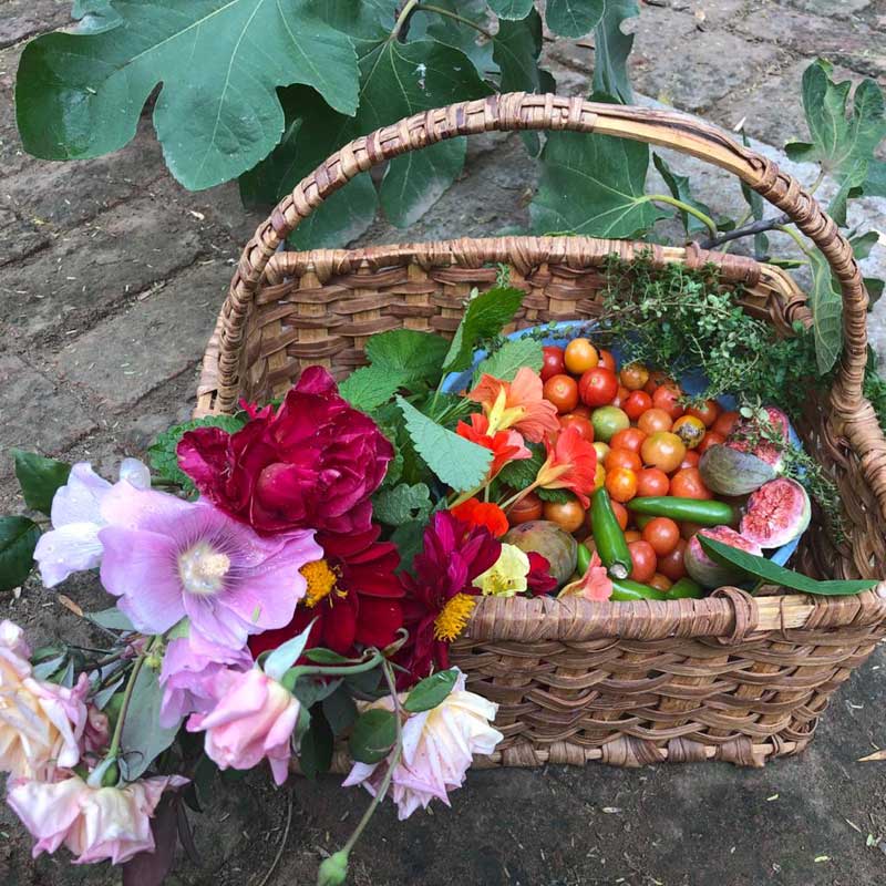 seasonal-foods-and-cleanses