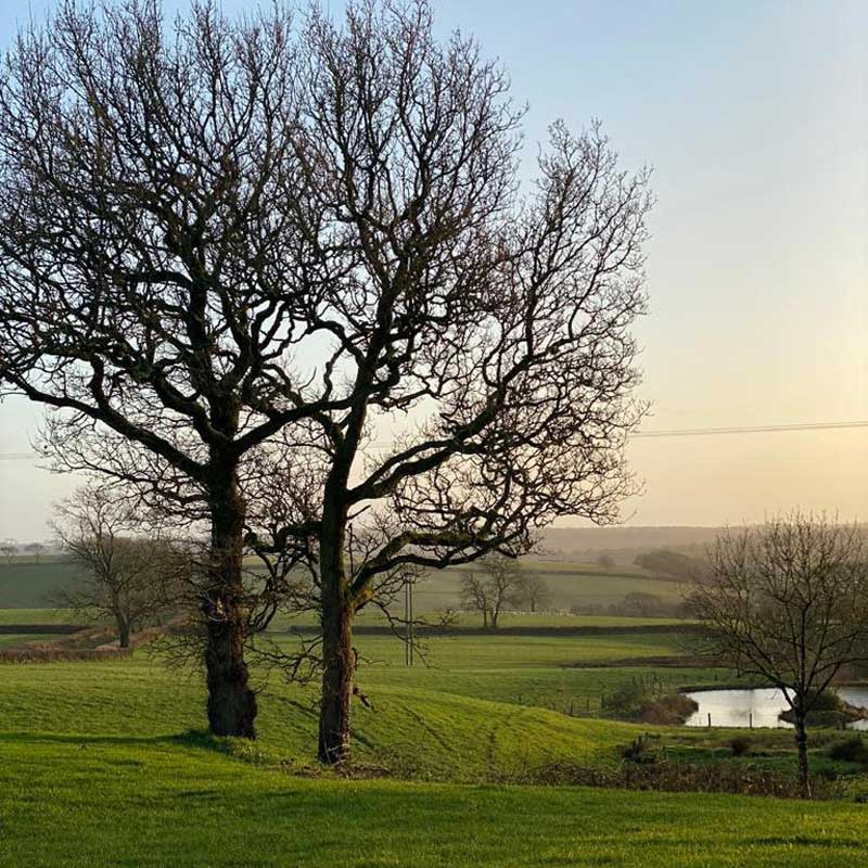 thrive-simple-lifestyle