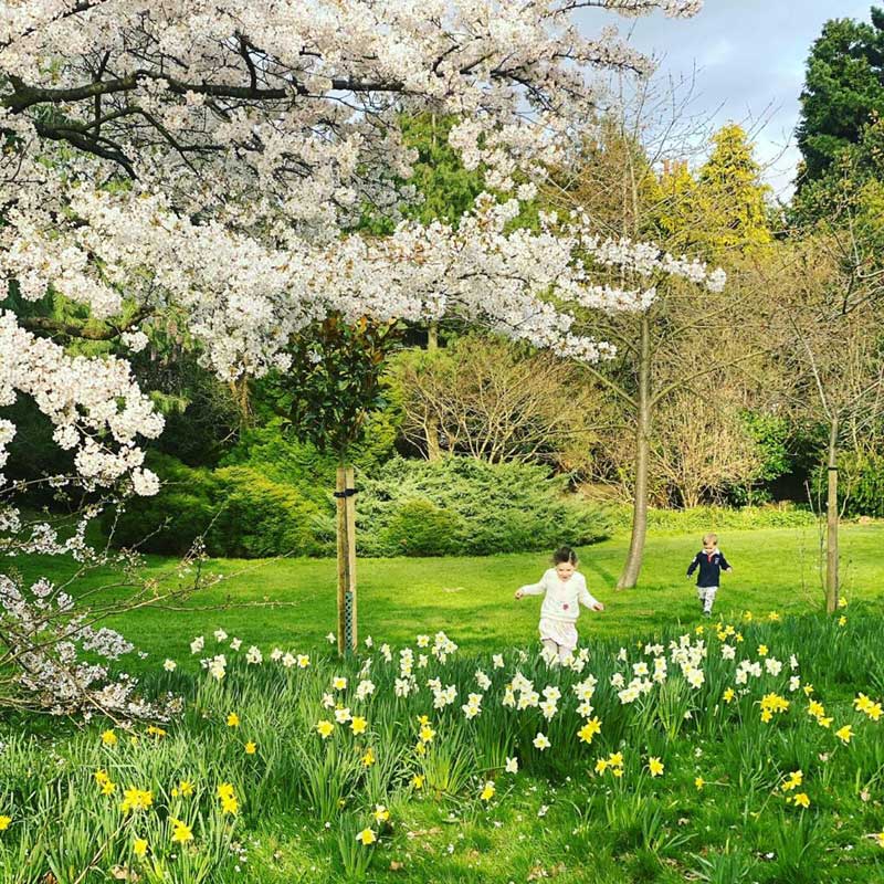 yoga-health-benefits